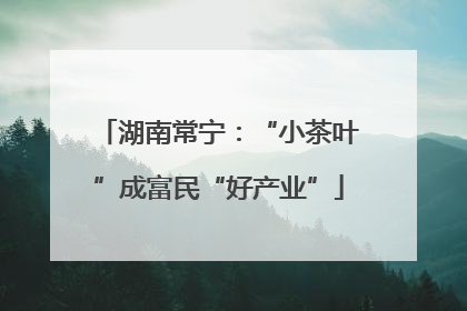 湖南常宁：“小茶叶”成富民“好产业”