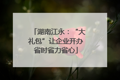 湖南江永：“大礼包”让企业开办省时省力省心
