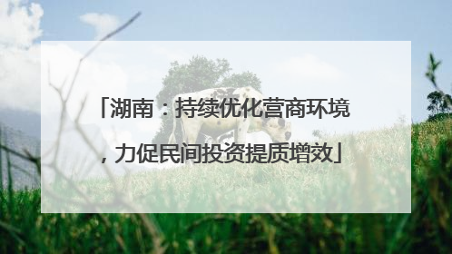 湖南：持续优化营商环境，力促民间投资提质增效