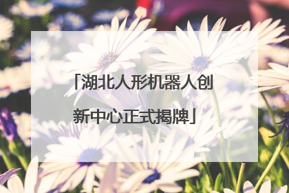 湖北人形机器人创新中心正式揭牌