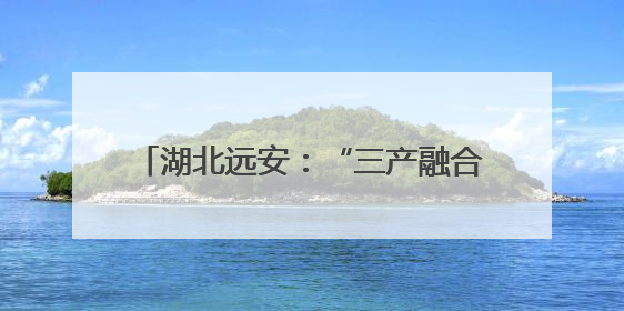湖北远安：“三产融合”激活乡村振兴新动能