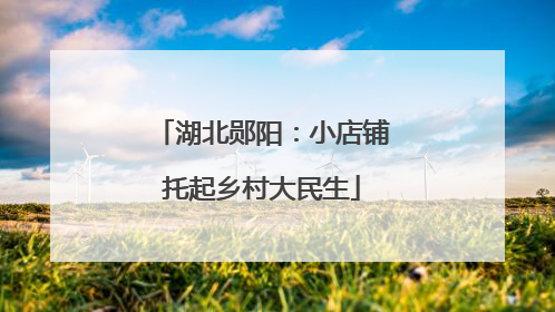 湖北郧阳：小店铺托起乡村大民生