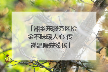 湘乡东服务区拾金不昧暖人心 传递温暖获赞扬