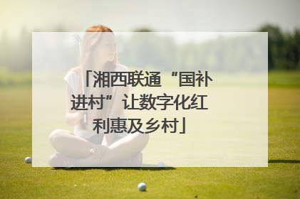 湘西联通“国补进村”让数字化红利惠及乡村