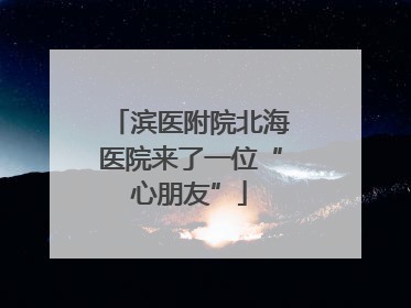 滨医附院北海医院来了一位“心朋友”