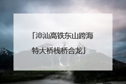 漳汕高铁东山跨海特大桥栈桥合龙