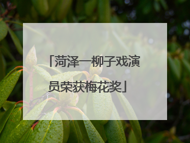 菏泽一柳子戏演员荣获梅花奖