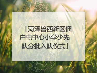 菏泽鲁西新区佃户屯中心小学少先队分批入队仪式