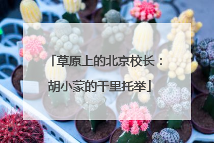 草原上的北京校长：胡小蒙的千里托举