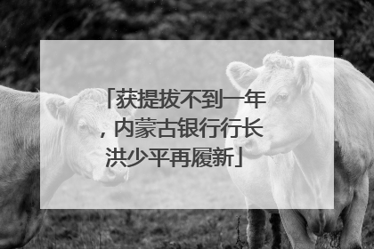 获提拔不到一年，内蒙古银行行长洪少平再履新