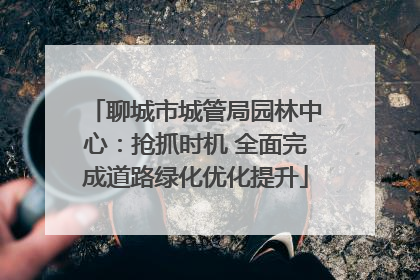 聊城市城管局园林中心：抢抓时机 全面完成道路绿化优化提升