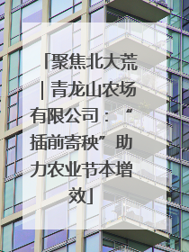 聚焦北大荒｜青龙山农场有限公司：“插前寄秧”助力农业节本增效