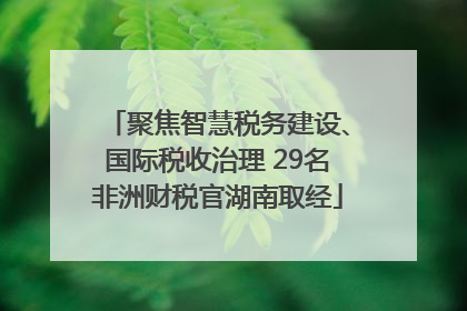 聚焦智慧税务建设、国际税收治理 29名非洲财税官湖南取经