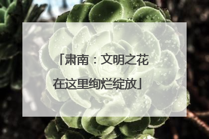 肃南：文明之花在这里绚烂绽放