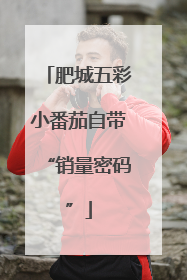 肥城五彩小番茄自带“销量密码”