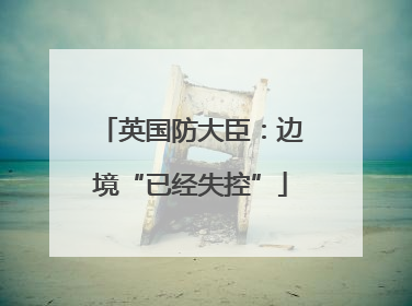 英国防大臣：边境“已经失控”