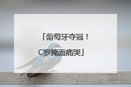 葡萄牙夺冠！C罗掩面痛哭