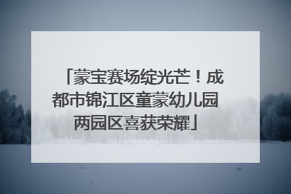 蒙宝赛场绽光芒！成都市锦江区童蒙幼儿园两园区喜获荣耀