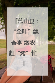 蓝山县：“金叶”飘香季 烟农赶“烤”忙