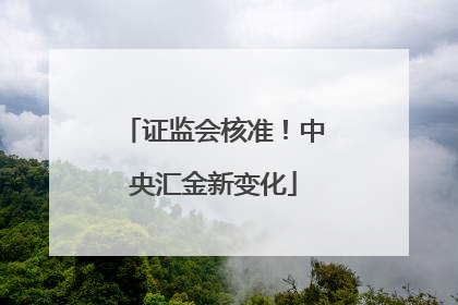 证监会核准！中央汇金新变化