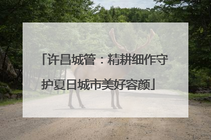 许昌城管：精耕细作守护夏日城市美好容颜
