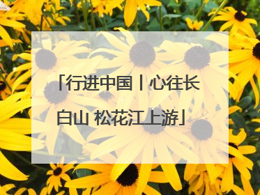 行进中国丨心往长白山 松花江上游