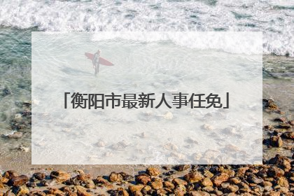 衡阳市最新人事任免