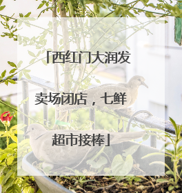 西红门大润发卖场闭店，七鲜超市接棒