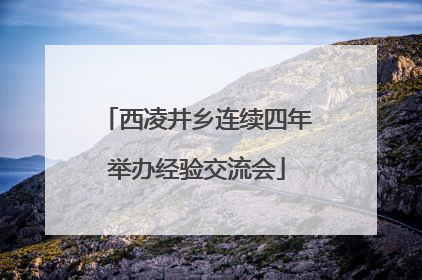 西凌井乡连续四年举办经验交流会