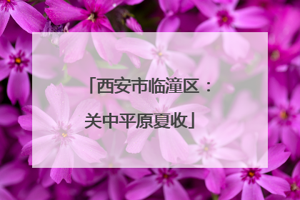 西安市临潼区：关中平原夏收