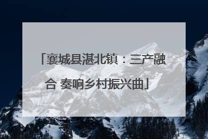 襄城县湛北镇：三产融合 奏响乡村振兴曲