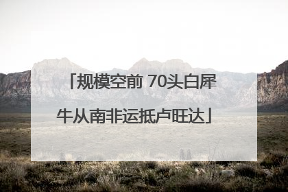 规模空前 70头白犀牛从南非运抵卢旺达