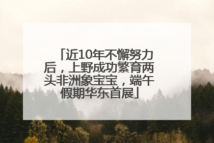 近10年不懈努力后，上野成功繁育两头非洲象宝宝，端午假期华东首展
