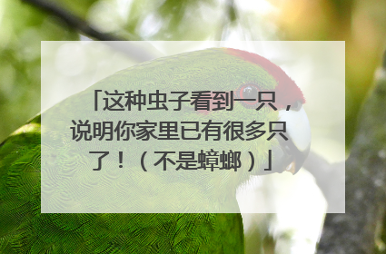 这种虫子看到一只，说明你家里已有很多只了！（不是蟑螂）