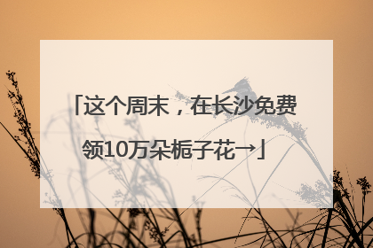 这个周末，在长沙免费领10万朵栀子花→