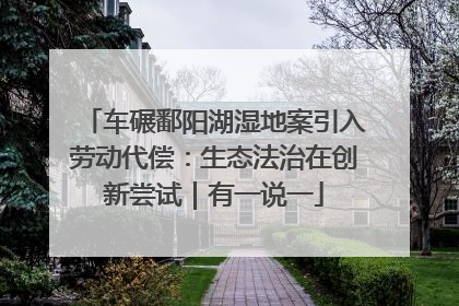 车碾鄱阳湖湿地案引入劳动代偿：生态法治在创新尝试｜有一说一