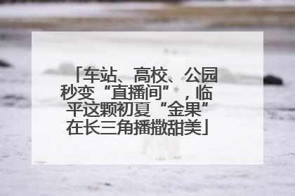 车站、高校、公园秒变“直播间”，临平这颗初夏“金果”在长三角播撒甜美