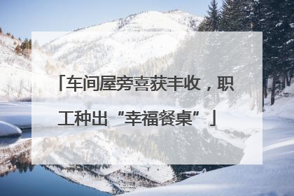 车间屋旁喜获丰收，职工种出“幸福餐桌”