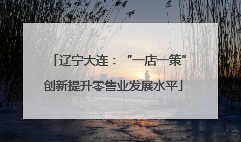 辽宁大连：“一店一策”创新提升零售业发展水平