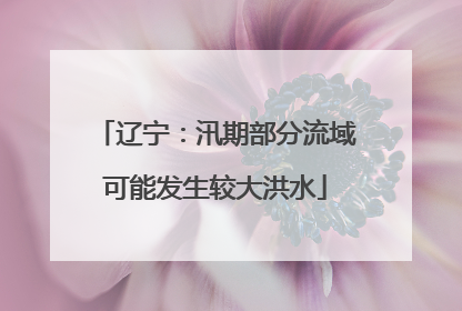 辽宁：汛期部分流域可能发生较大洪水