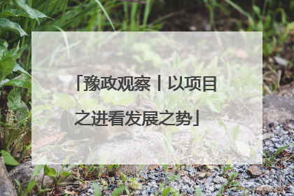 豫政观察丨以项目之进看发展之势