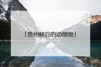 贵州峡谷的动植物