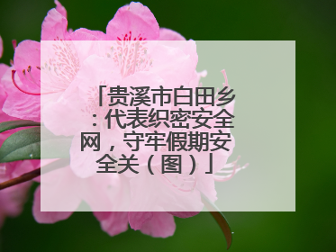 贵溪市白田乡：代表织密安全网，守牢假期安全关（图）