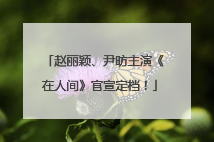 赵丽颖、尹昉主演《在人间》官宣定档！