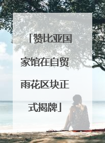 赞比亚国家馆在自贸雨花区块正式揭牌