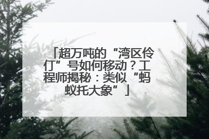 超万吨的“湾区伶仃”号如何移动？工程师揭秘：类似“蚂蚁托大象”