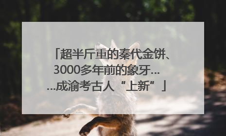 超半斤重的秦代金饼、3000多年前的象牙……成渝考古人“上新”