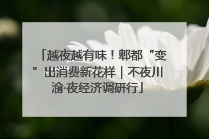 越夜越有味！郫都“变”出消费新花样｜不夜川渝·夜经济调研行