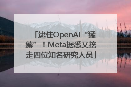 逮住OpenAI“猛薅”！Meta据悉又挖走四位知名研究人员