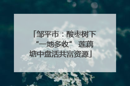 邹平市：酸枣树下“一地多收” 莲藕塘中盘活共富资源